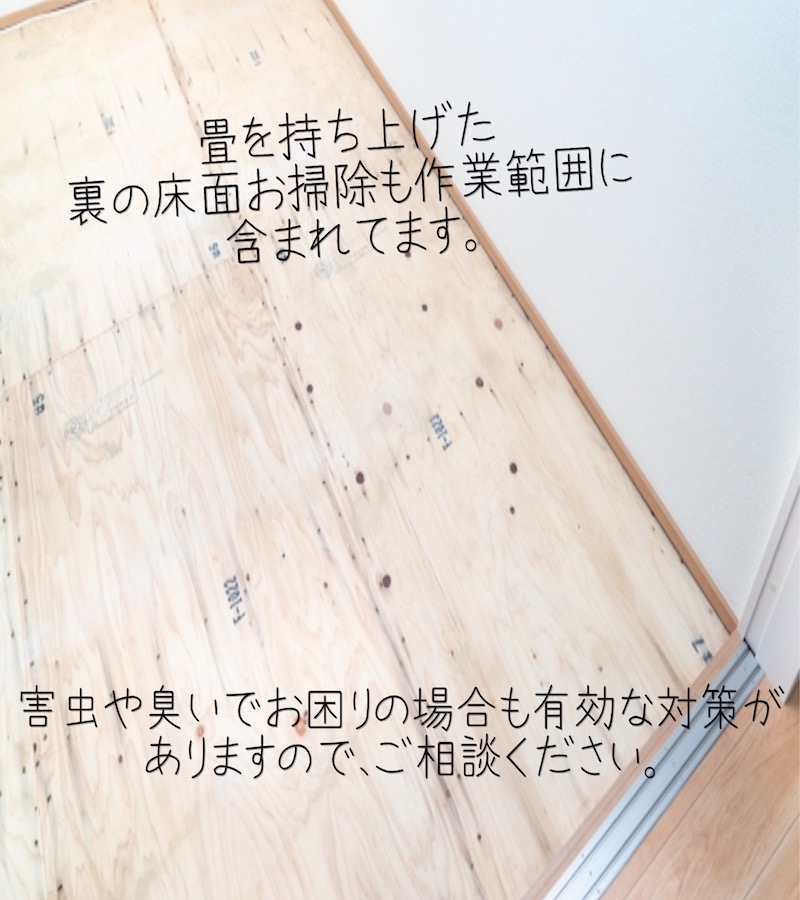 畳のバキューム&スチーム除菌